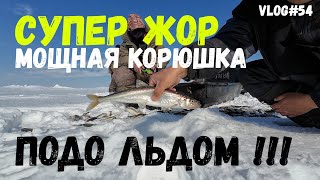 СУПЕР РЫБАЛКА КОРЮШКИ !