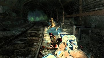 Metro Last Light Tortoise Trophy Guide