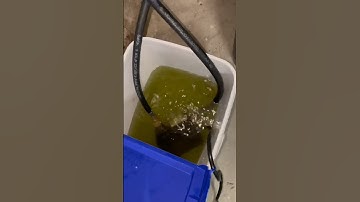 How to Flush a tankless water heater. 1 minute tutorial.