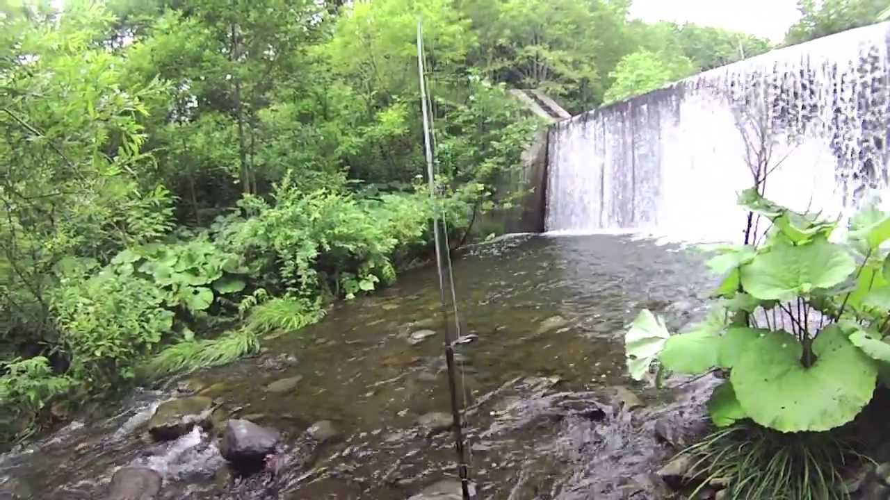 金楽勺 北海道イワナ釣り ルアーフィッシング岩魚char Hokkaido豊浦 Lure Fishingスプーンspoon Youtube