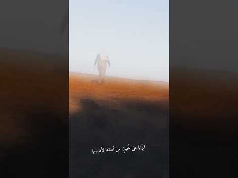 تمهل بارك الله فيك وإفهم ماسلف ذكره