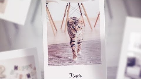 Photo Slideshow | videohive