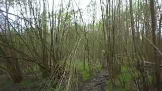 Wolf Run 2014 26th April pt4