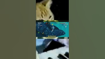 Hungry Shark Evolution Mod | Serie de Todos los Tiburones #hungryshark #capybara #mods