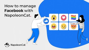 How to manage Facebook with NapoleonCat