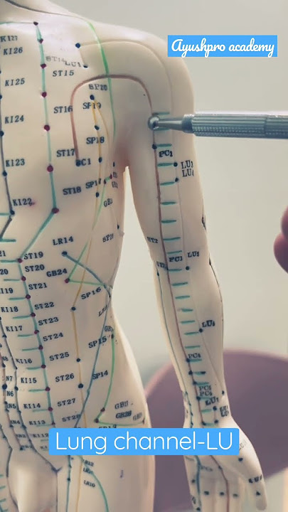 Lung channel(acupuncture meridian)#acupuncture #traditional #chinese #viral #trending #viralvideo
