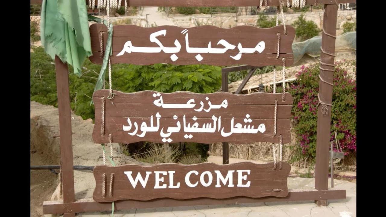 برامج ختام النشاط بمدرسة القر بني عُمر الإبتدائية بالطائف لعام 1446هـ  زيارة مزرعة مشعل السفياني