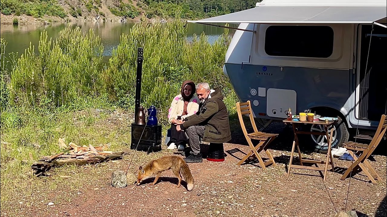 МЫ КОРМИЛИ ЛИСУ С РУК И РАЗбили лагерь в ТИХОМ МЕСТЕ