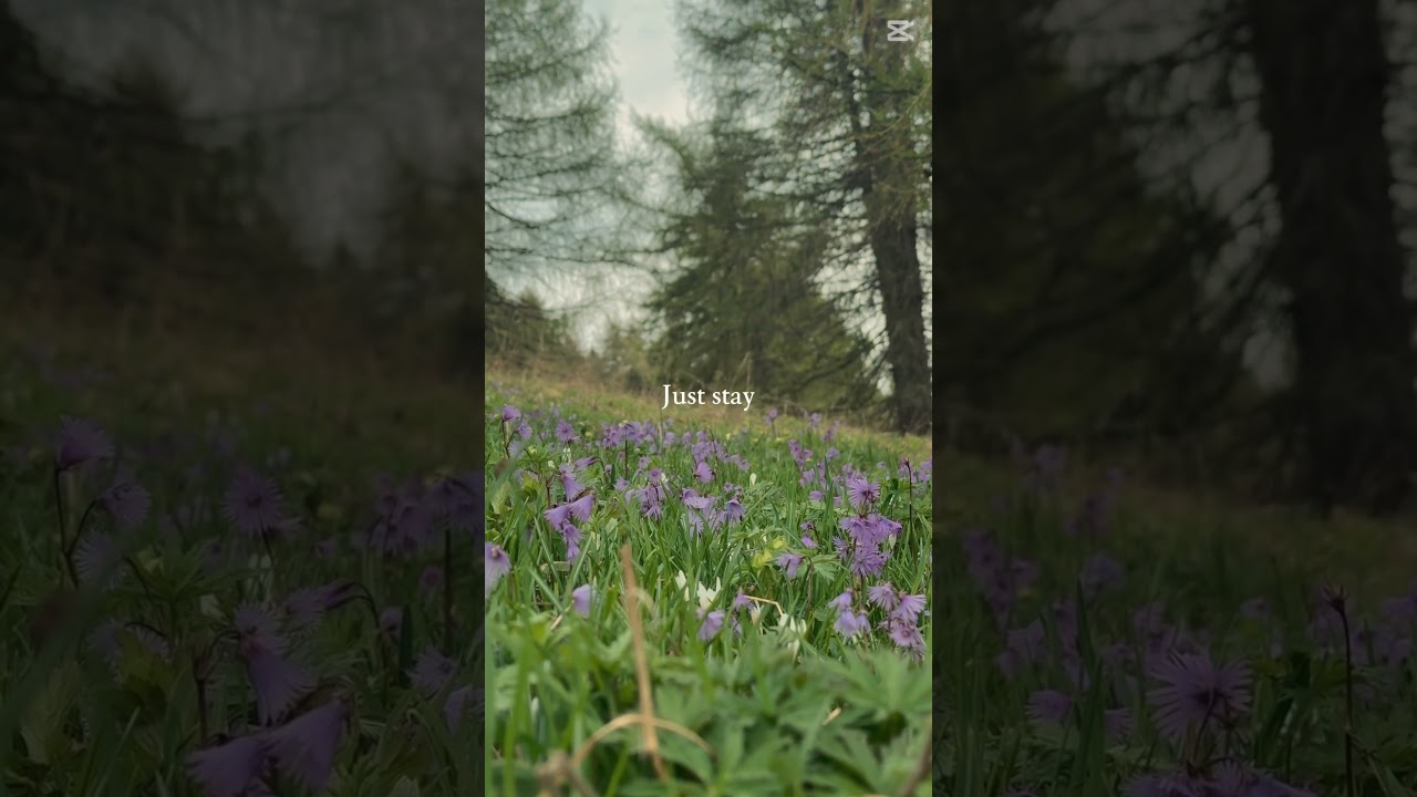 Just stay for a while. 