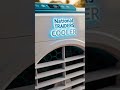 National traders cooler #business #explore #aivideo #shortvideo #viral