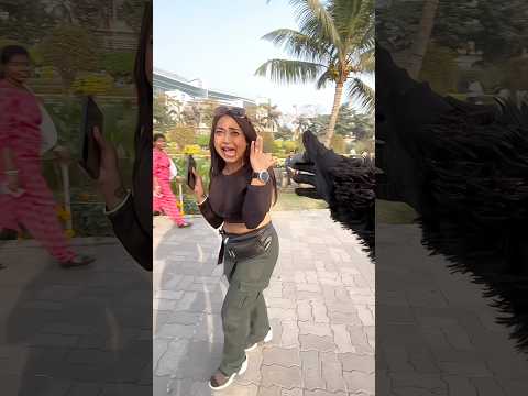 system faad denge #funny #comedy #prank #viral #youtubeshorts