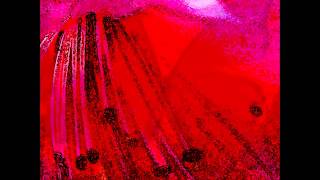 City of Dreams Mardi Linane Digital American Modernist TM