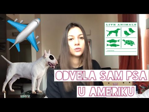 Video: Osnovna Lista Za Putovanje S Psima