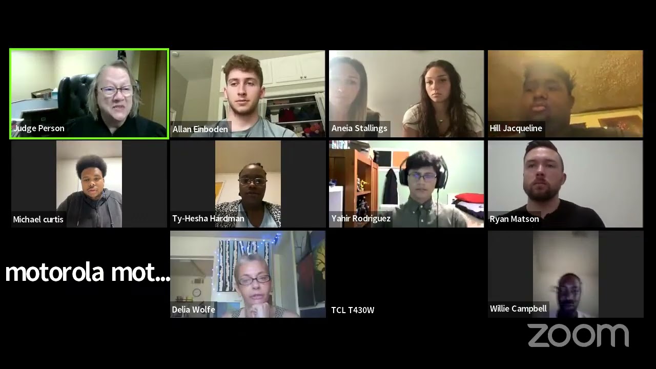 Online Court Session Highlights Unique Plea Options and Technology Challenges