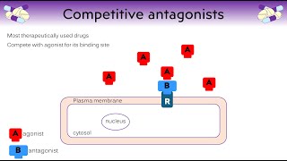 What is a drug? and how does a drug work? Different types of agonist and antagonist