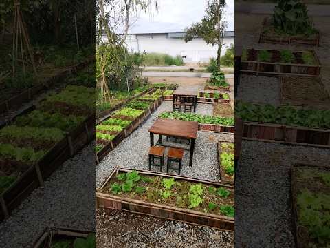 วีดีโอ: สวนผักโซน 7: เคล็ดลับในการปลูกสวนผักโซน 7