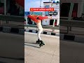 जय माता दी 🙏 #jaimatadi #skating #yatra #ytshorts #youtubeshorts #shivam_skating45