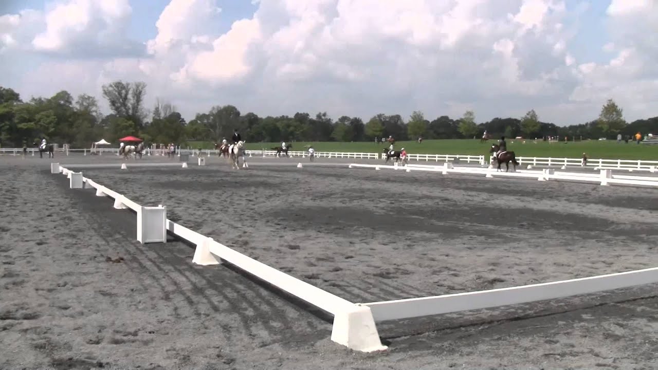 MD STARTER HORSE TRIAL AT LOCH MOY 11 Sept 2011 YouTube