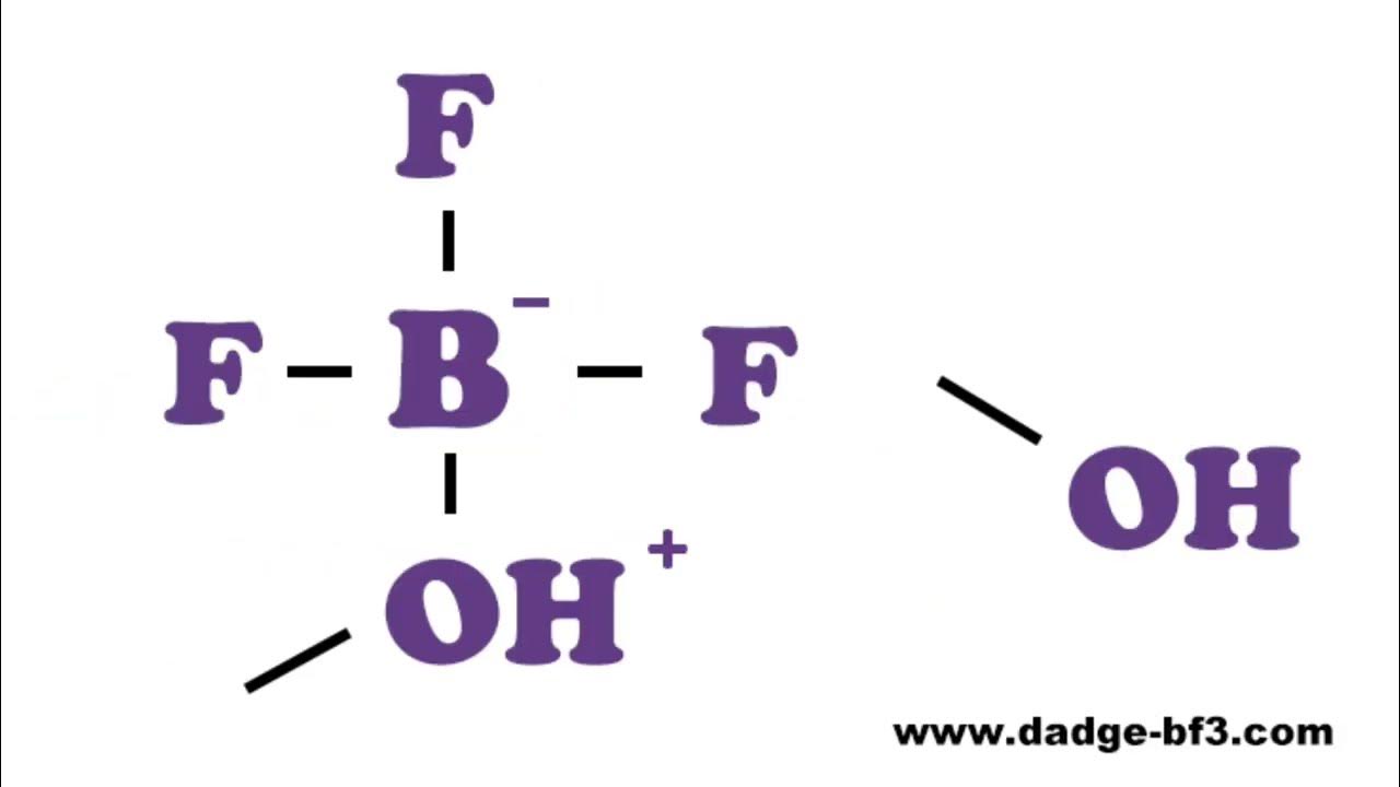 In depth introduction of five boron trifluoride methanol complexes