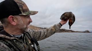 Late Afternoon Duck Hunt With a Surprise