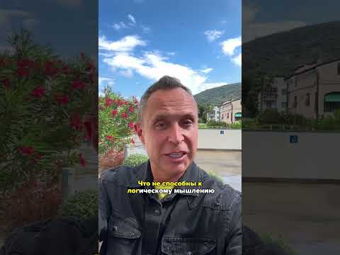 Никогда не говорите это детям