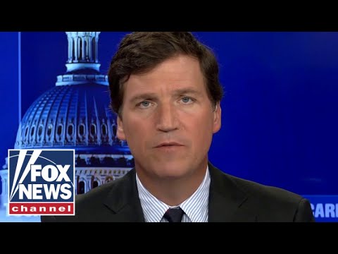 Tucker: This is why CNN's Stelter fired his nanny