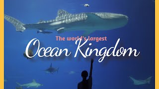 Ocean Kingdom | CINEMATIC Short Film - Sony A6400