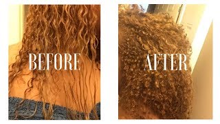 HOW I REVIVED MY CURLS | STORYTIME W/ PICTURES + APHOGEE REVIEW!