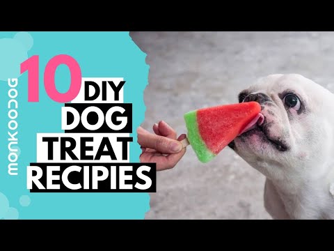 Video: Super Sunn DIY Veggie Dog Treats!