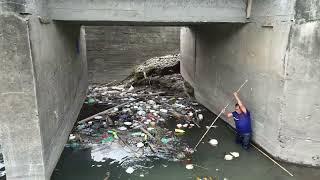 LIMPIEZA DEL ESTERO EL CHORRON