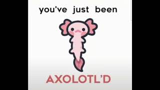 Youve Been Axolotld