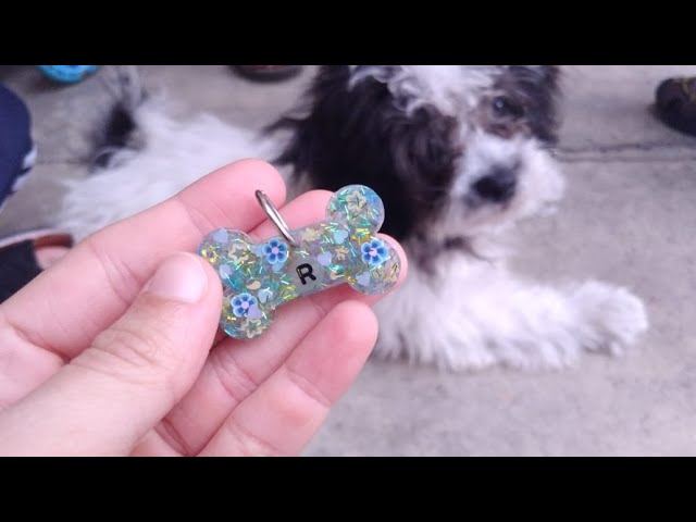 Making a resin plate for dog + to use the resin | Tutorial - Diy Cute - YouTube