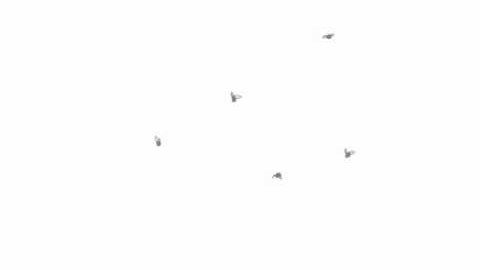 Splat! W.I.P. (Paint.net animation)