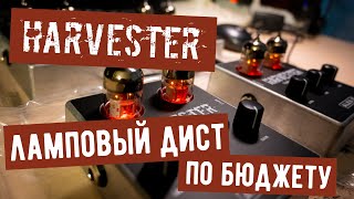 Alex-Z Harvester - Ламповый дист по бюджету