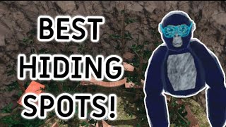 Best hiding spots in the forrest. #gorillatagfun #subscribe #vr #gtag