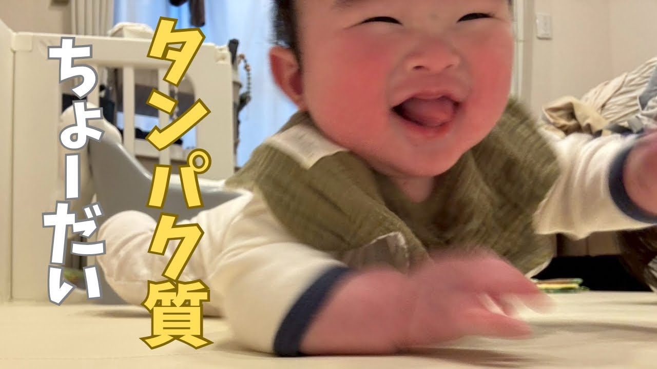 【生後5ヶ月】離乳食もぐもぐ期！初のタンパク質に挑戦！Toa's First Protein! 👶🐟