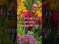 Klasyfikacja podstawowa irysów bródkowych. Iris bearded. #iris #kosaćce #byliny #ogród