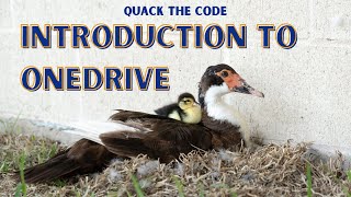 Introduction to OneDrive