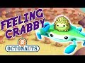 Octonauts - Feeling Crabby | Cartoons for Kids | Underwater Sea Education