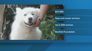Young-Williams Animal Center receives thousands in grant funding