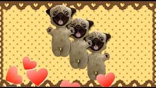 ITH Dog Pug toy soft stuffed in the Hoop Digital Design for Machine Embroidery  #embroideryhoop screenshot 4