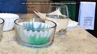 Science At Home Ep. #9 | Chromatography with John Banovetz