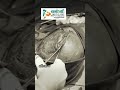 Dr.T.NadanasabapathyMBBS.M.S.(Ortho),FDFM,IOC DSM #orthohospital #orthopedicsurgeon #health #doctor