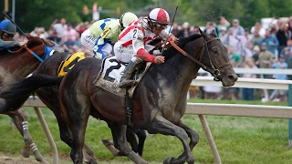 Cloud Computing Wins Preakness - Cloud Computing pulled off the upset, winning the1