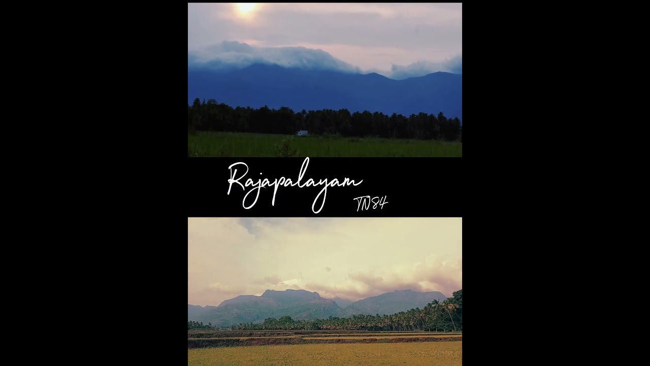 I love 💕 Rajapalayam /rajapalayam whatsapp status 