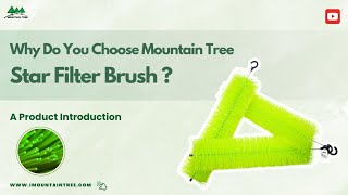 Mountain Tree Star Filter Brush （Product Introduction）