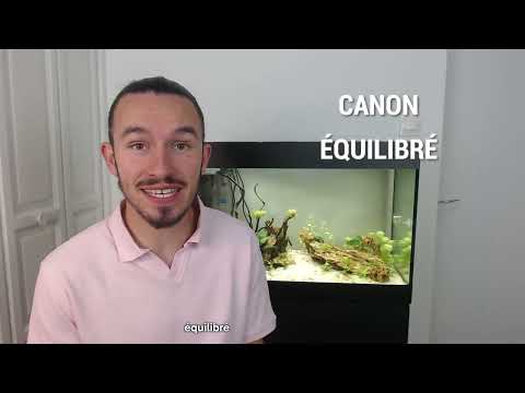 Leon Barbot -