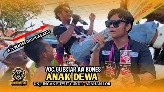 Download Lagu ANAK DEWA || GUEST STAR BONES DIUNCALANG || ANDI PUTRA 3 || UNJUNGAN BUYUT CUKUL - ARAHAN LOR MP3