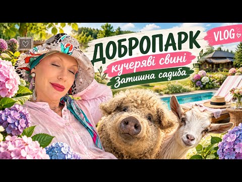 Vlog: First time at DOBROPARK, hydrangeas, "man-eating" pigs and glamping in the forest