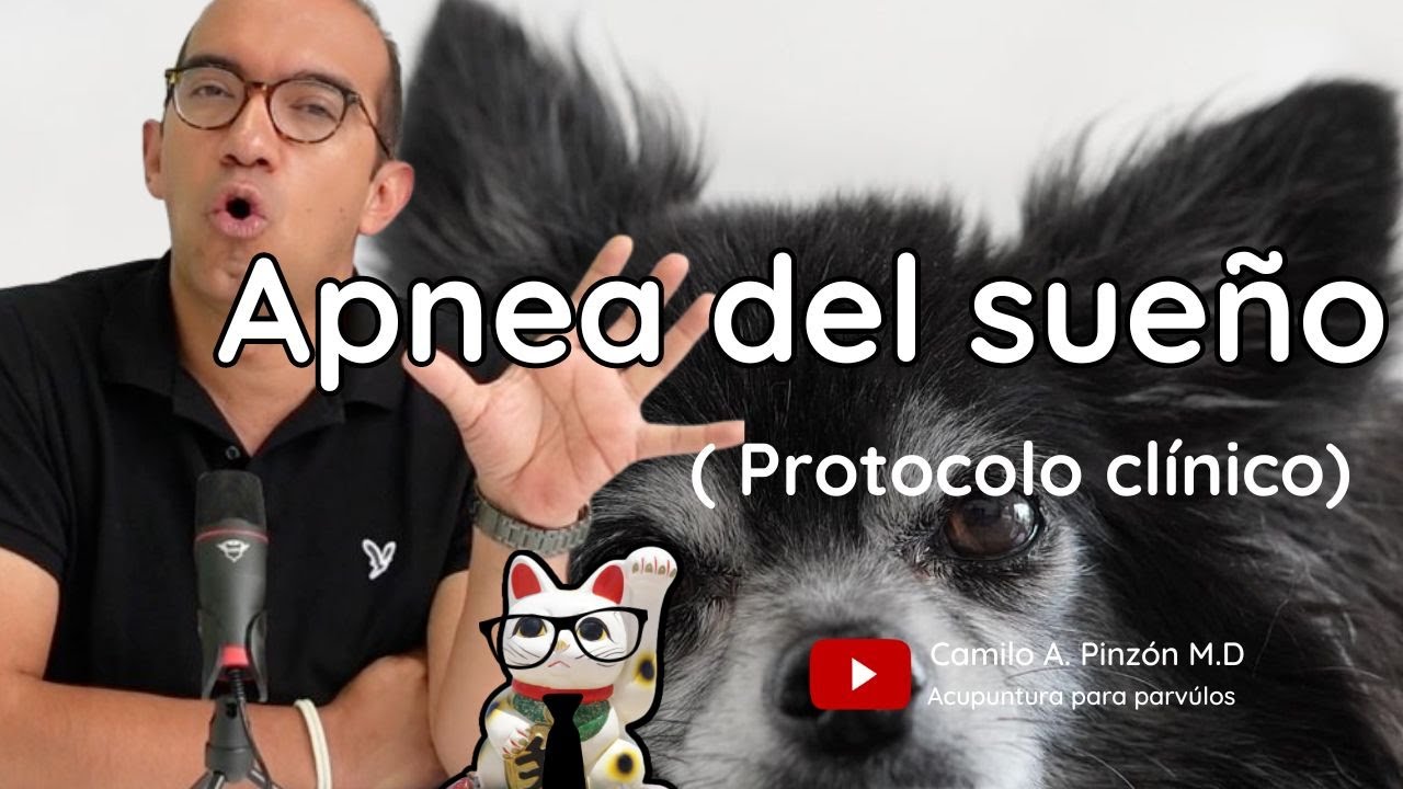 APNEA DEL SUEÑO (protocolos clínicos) | Acupuntura para párvulos
